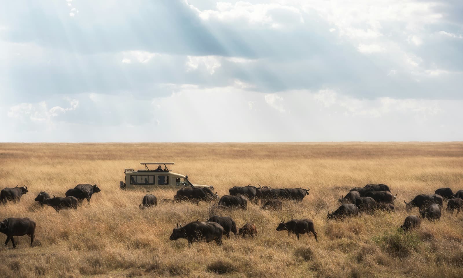 Tanzania safari adventure