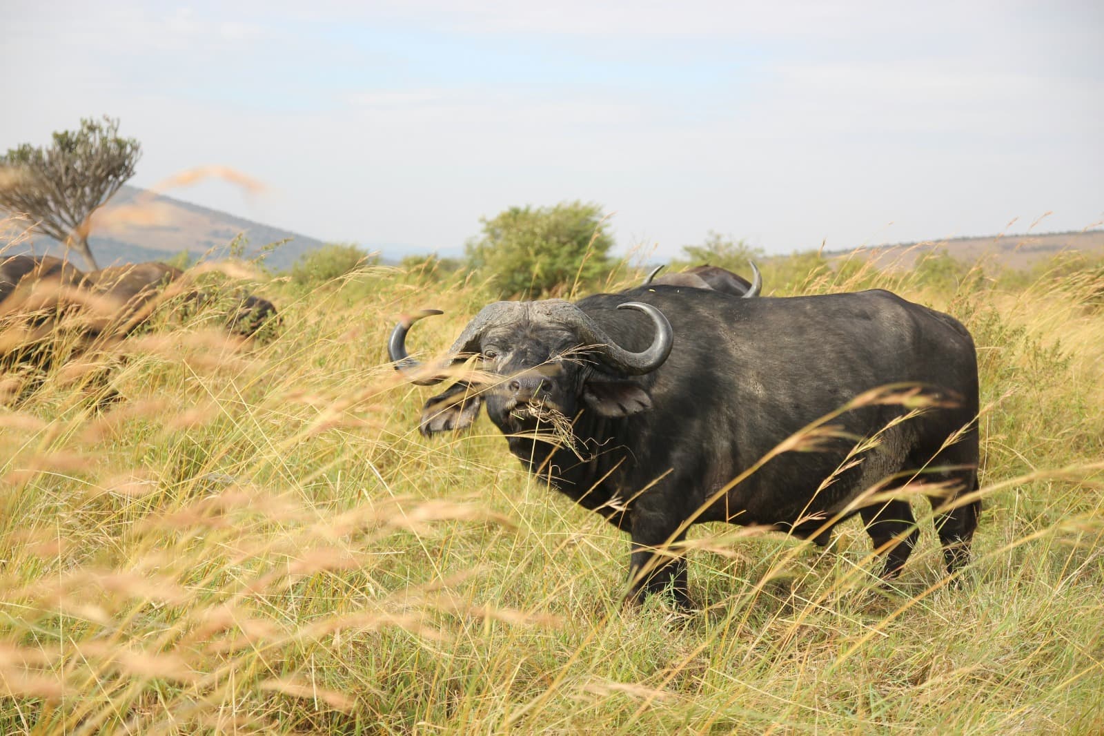 Tanzania Destinations in Tanzania