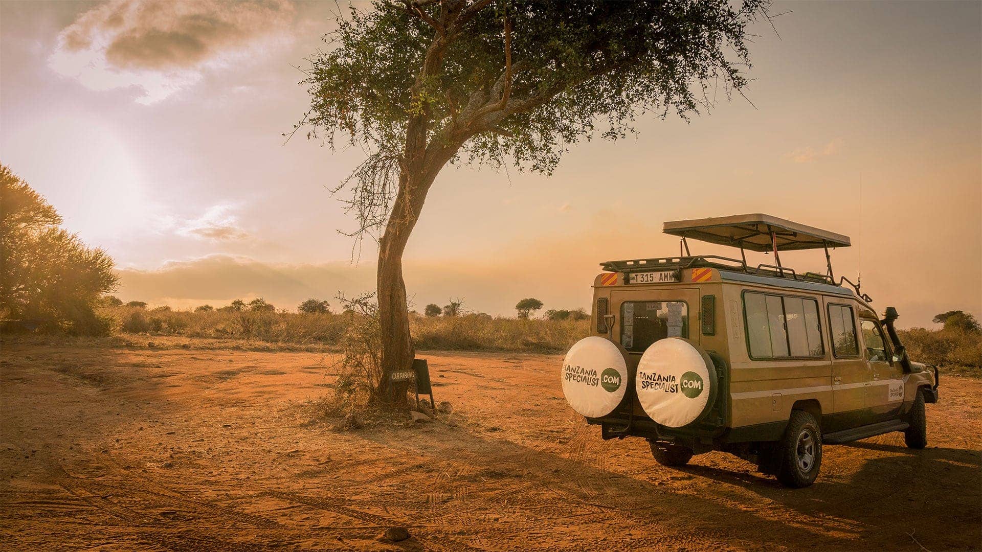 Serengeti wildlife